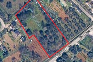 Lotti agricoli ad uso orto