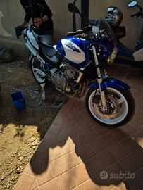 Honda hornet
