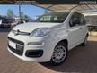 Fiat Panda Pandina 1.0 GSE MHEV #10191