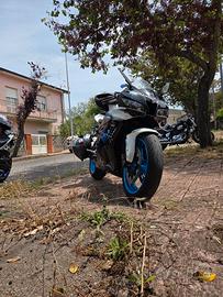 cbr 600 limited 