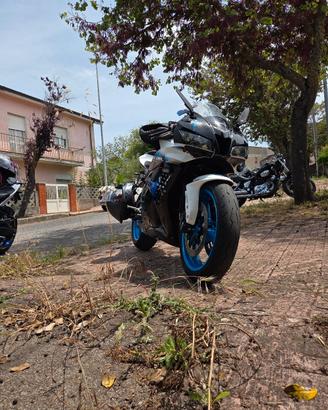 cbr 600 limited 
