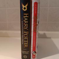 Libro Harry Potter