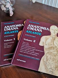 Atlante Anatomia Umana 