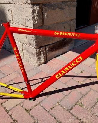 Telaio e forcella  Bianucci 