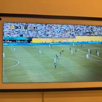 Amazon Echo show 15 fire tv nuovo