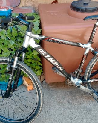 bici Olympia uomo 