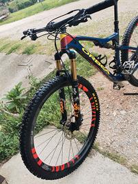 Orbea oiz team