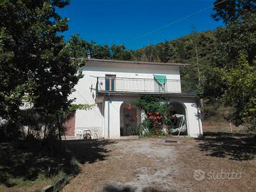 Villa immersa nel verde + terreni