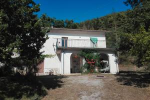 Villa immersa nel verde + terreni