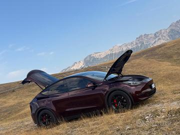 Tesla Model Y Performance