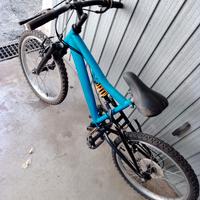 bicicletta 