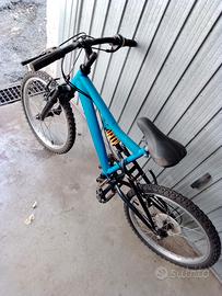 bicicletta 