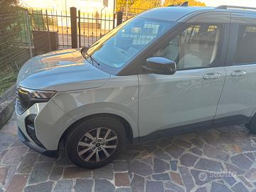 Ford tourneo