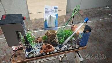 Piccolo acquario completo