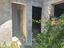 Immagine 11