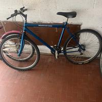 Mountain bike