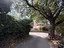 Immagine 25