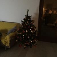 Albero di natale