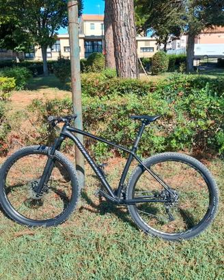 bicicletta  bike  Specialized 29” in alluminio