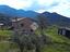 Immagine 19