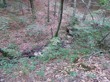 TER. AGRICOLO A OMEGNA