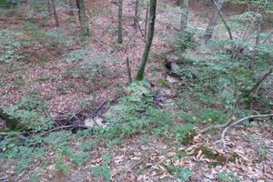 TER. AGRICOLO A OMEGNA