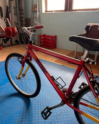 3 bici uomo donna bambino