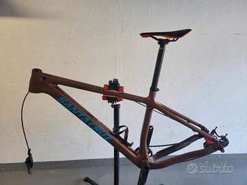 Jual santa cruz discount chameleon