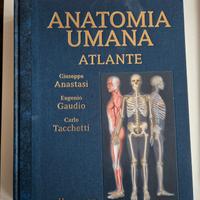 Anastasi anatomia atlante