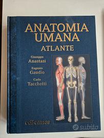 Anastasi anatomia atlante