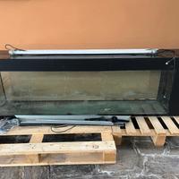 Acquario 300lt