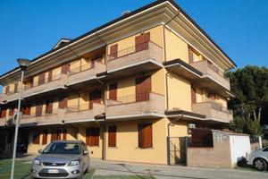 Fusignano: