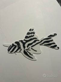 Pleco zebra targhetta