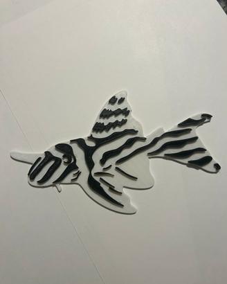 Pleco zebra targhetta