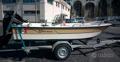 Barca torpedine 4.80