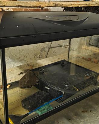 Acquario Wave Riviera 60 con filtro e accessori