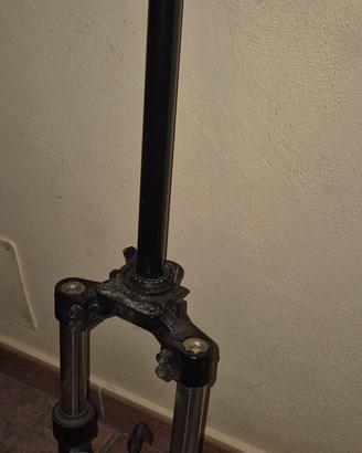 forcella motore elettrico Vitale