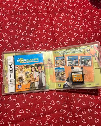 Gioco nintendo ds