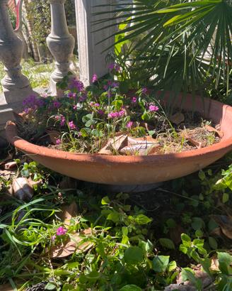 Vasi ciotole grandi e medie