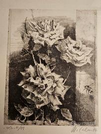 opera Mario Calandri