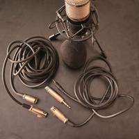 Microfono a Condensatore con Treppiede e Accessori