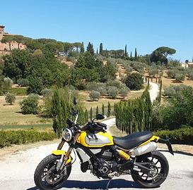 Ducati Scrambler 1100 Sport gialla, come nuova