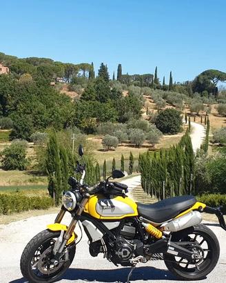 Ducati Scrambler 1100 Sport gialla, come nuova