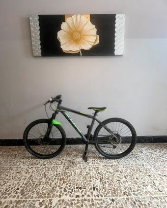 bici foucus black hills 27,5