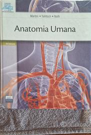 anatomia umana Martini