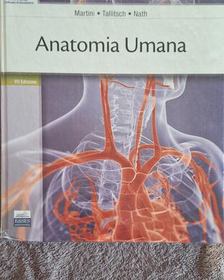 anatomia umana Martini