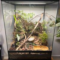 Terrari naturali e personalizzabili