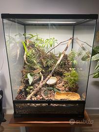 Terrari naturali e personalizzabili