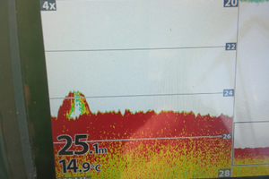 Ecoscandaglio humminbird 5 in garanzia