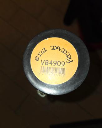 Canna da Mosca 